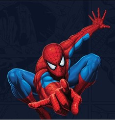 Źródło: http://marvel.com/characters/54/spider-man